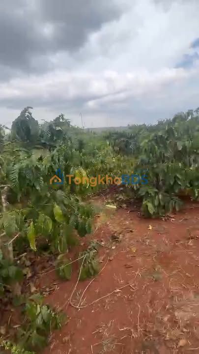 Đất vườn Xã Trang Đăk Đoa 1440m² - Sinh thái xanh