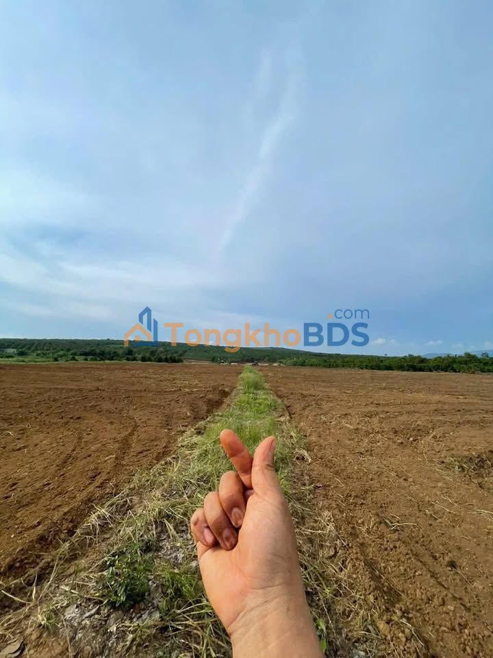 Đất rẫy Ia Dom 43.000m² 1.25 tỷ - Giá tốt hiếm có