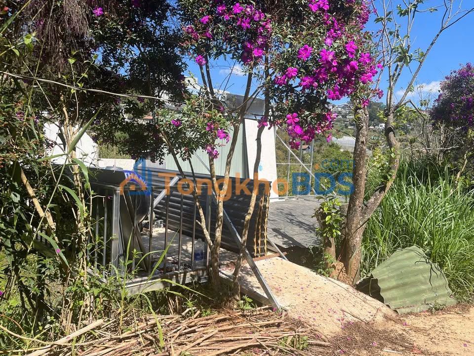 Đất nền Đà Lạt Khe Sanh 513m² giá 4.5 tỷ - Sổ đỏ chính chủ