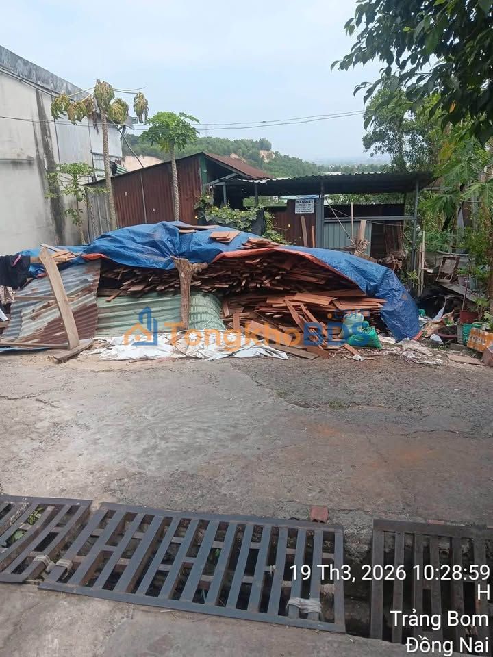 Đất Tân Hòa Biên Hòa 300m² 450 triệu - Hạ tầng hoàn thiện