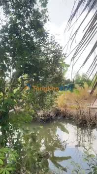 Đất nền Tân Phong 6.000m² 3.9 tỷ - Sổ đỏ chính chủ