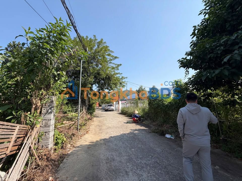 Đất nền Yên Lập Phố Hoa Phượng 114m² 1.1 tỷ - Thổ cư 100%