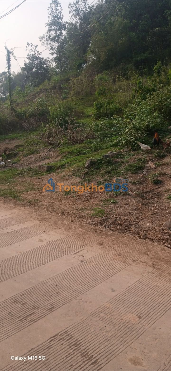 Đất nền Ngọc Mỹ Tân Lạc 124m² 1.2 tỷ - Sổ đỏ chính chủ