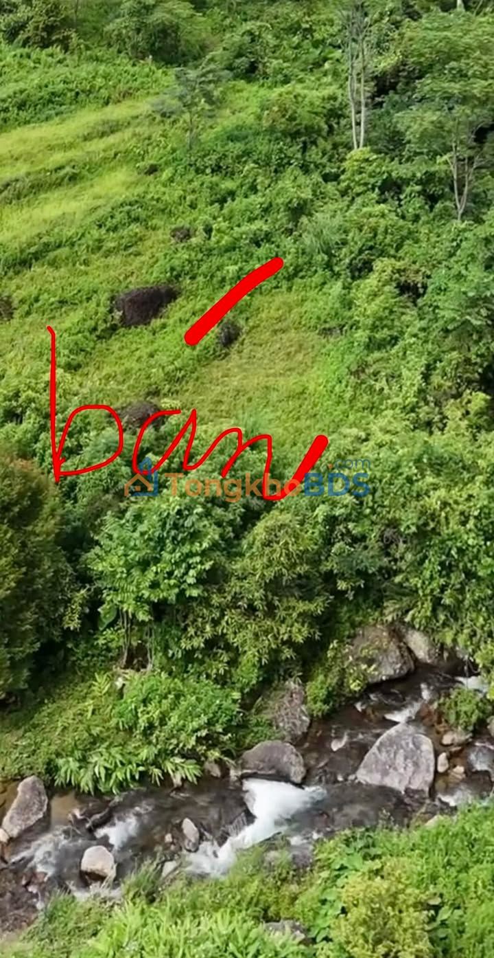 Đất vườn Bằng Phúc Chợ Đồn 5000m² - Nghỉ dưỡng lý tưởng