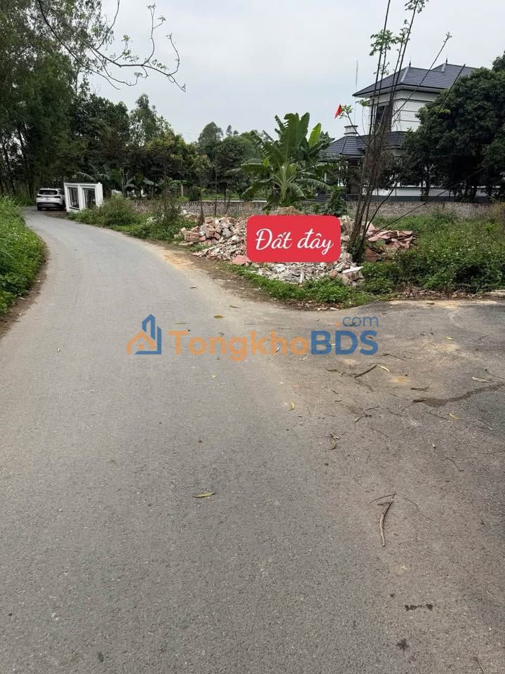 Đất nền Đồng Tĩnh Tam Dương 100m² - Đường to ô tô