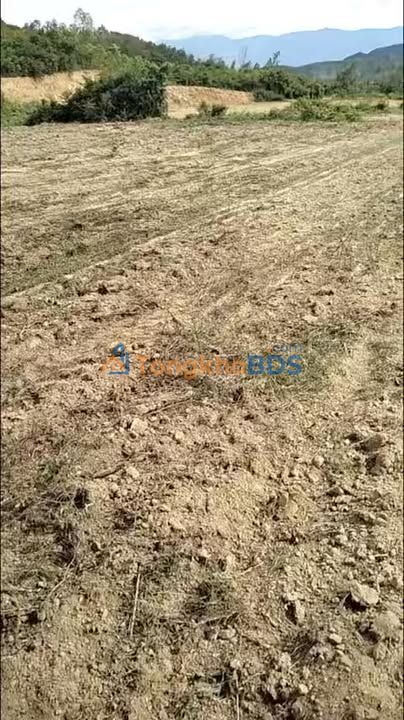 Đất nền Tân Định Ninh Hòa 6ha - Sổ đỏ chính chủ