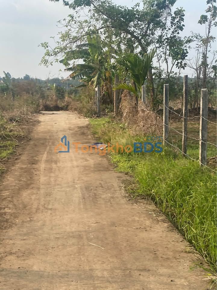 Đất nền Phường An Bình Buôn Hồ 500m² 395 triệu - Hạ tầng hoàn thiện