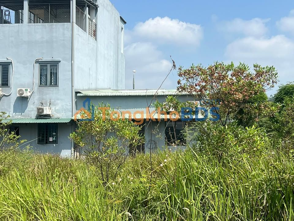 Đất nền Núi Thành 146m² 3 tỷ - Sổ đỏ chính chủ