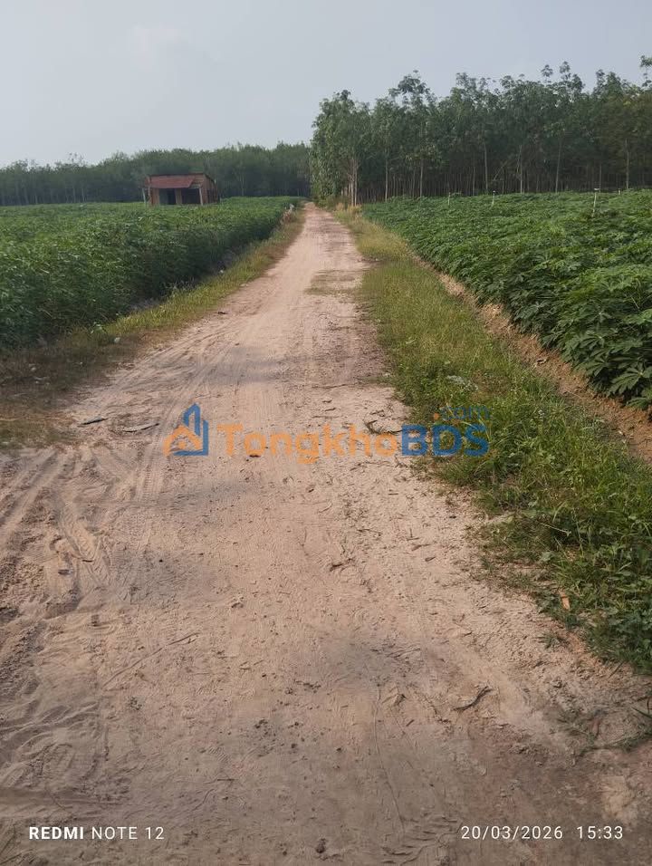 Đất nền Mỏ Công Tân Biên 70.000m² 5.95 tỷ - Sổ đỏ chính chủ