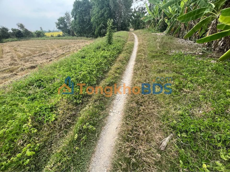 Đất vườn Phú Hòa 1.000m² 600-699 triệu - Nghỉ dưỡng lý tưởng