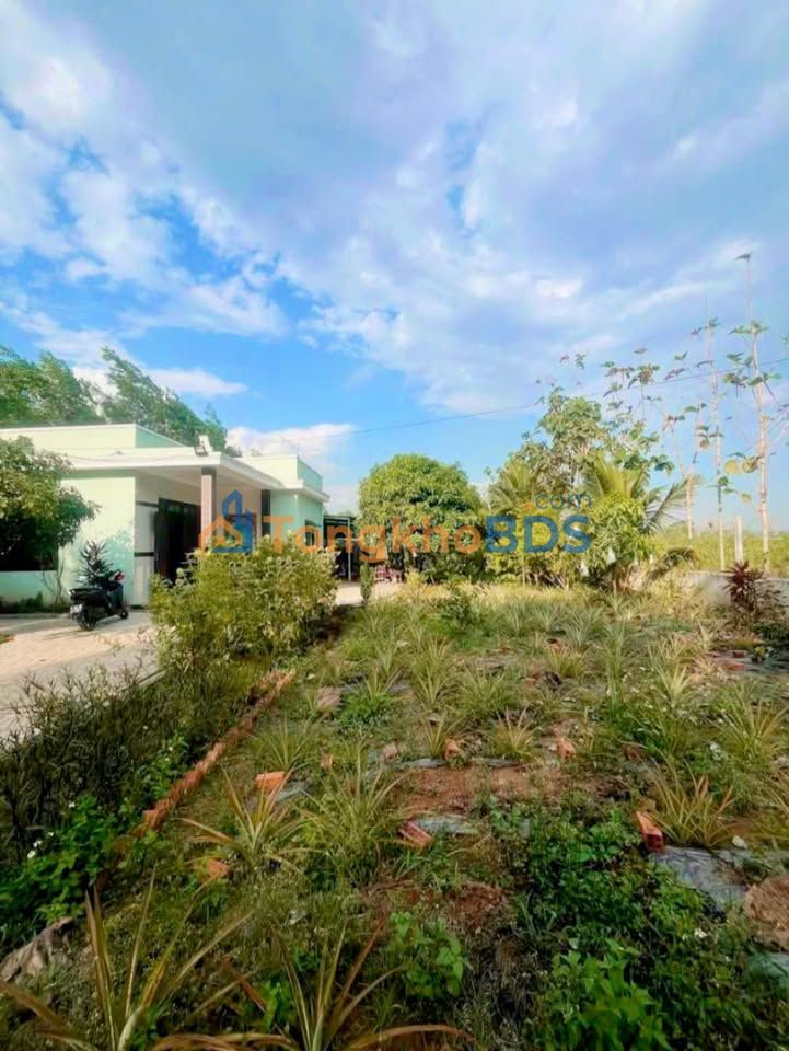 Đất nền Xuân Trường Xuân Lộc 720m² 1 tỷ - Sổ đỏ rõ ràng