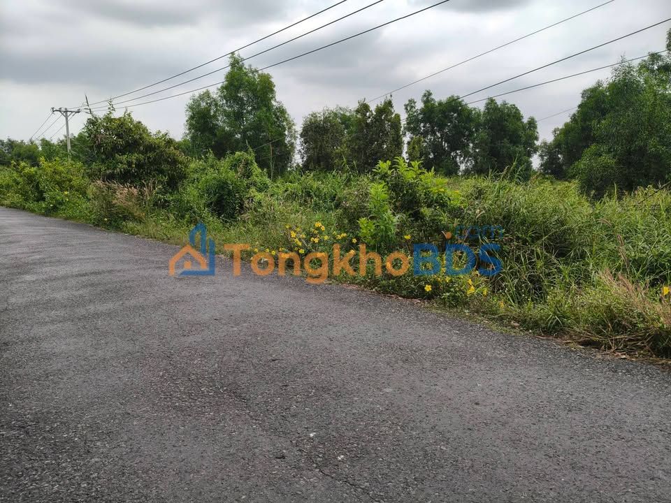 Đất nền Phước Lập Tân Phước 3.900m² 7 tỷ - Đường to ô tô