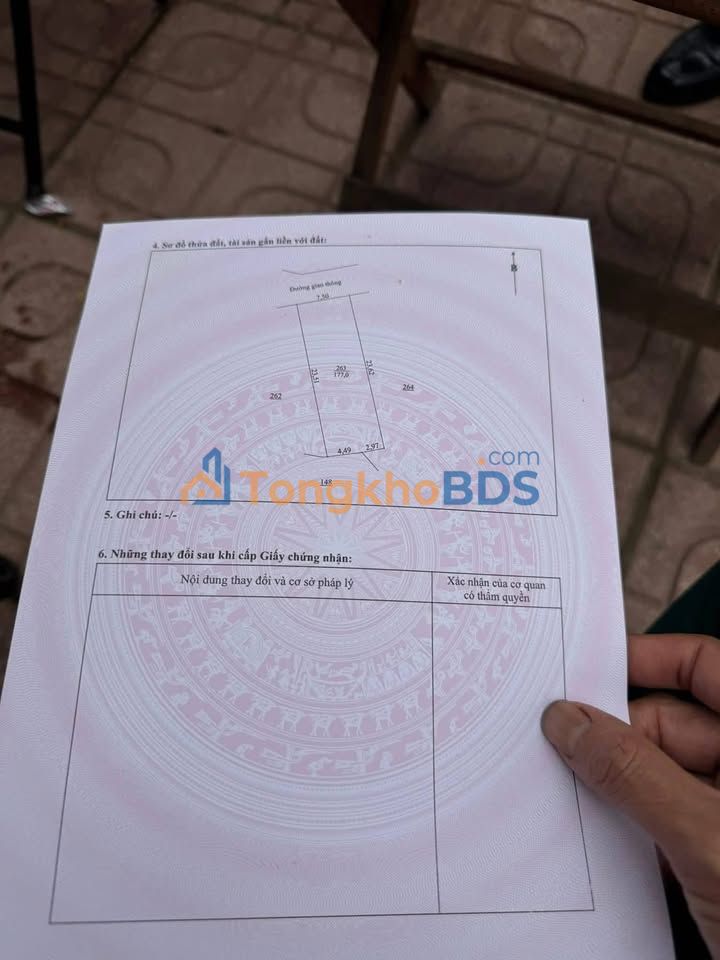 Đất Tân Kim Long An 177m² 550 triệu - Tiềm năng tăng giá