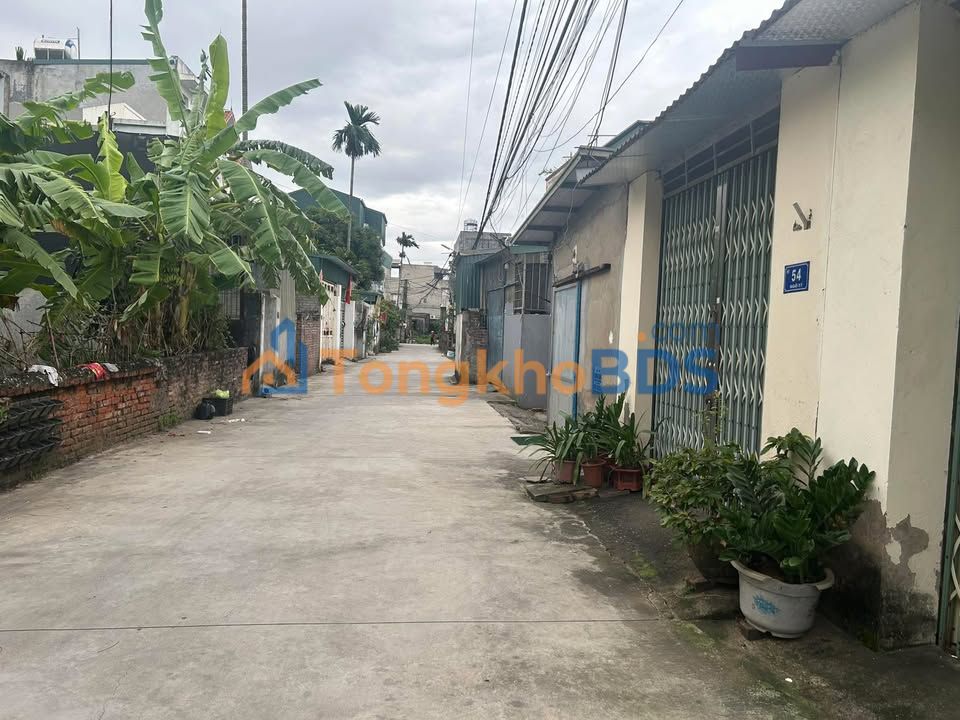 Đất nền Mai Ngô Hải Dương 43m² 650 triệu - Tiềm năng tăng giá