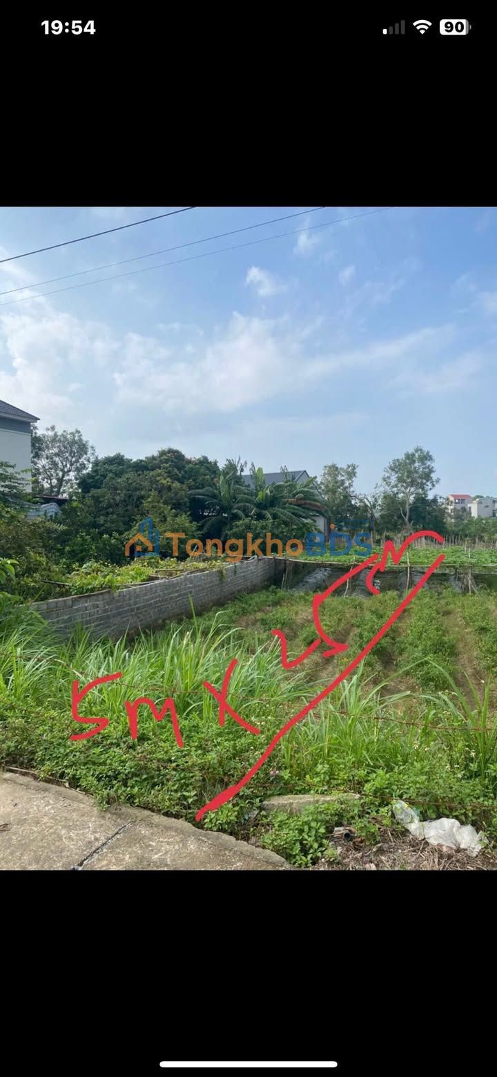 Đất Yên Thịnh Thanh Hóa 125m2 - Sổ đỏ chính chủ