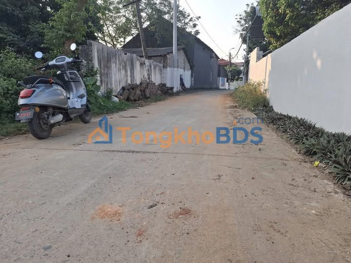 Đất nền Tam Dương 100m² giá 1,05 tỷ - Sổ đỏ chính chủ hạ tầng hoàn thiện