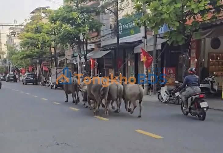 Đất Điện Thọ Điện Bàn 333m² 750 triệu - Đường ô tô