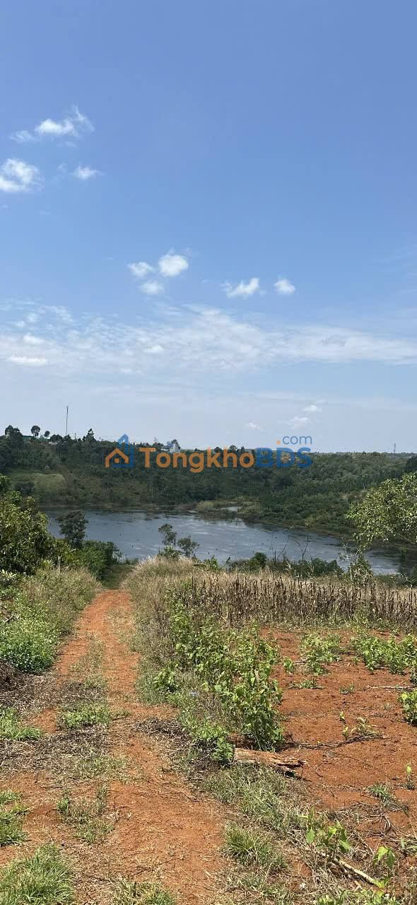 Đất nông nghiệp Tân Lợi Gia Nghĩa 1.3ha 4.6 tỷ - Đường to ô tô