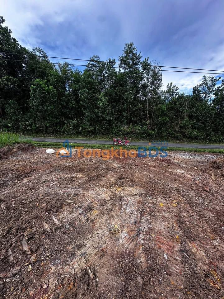 Đất nền QL28 Krông Nô 4.800m² 168 tỷ - Sổ đỏ chính chủ