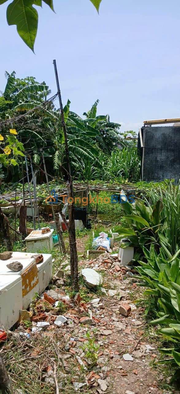 Đất nền Vũng Tàu hẻm 212 Nguyễn Hữu Cảnh 125m² 490 triệu - Sổ đỏ chính chủ