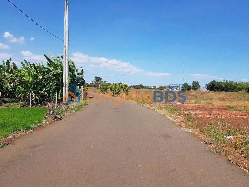 Đất nền Long Tân 191m²/500 triệu - Đường ô tô