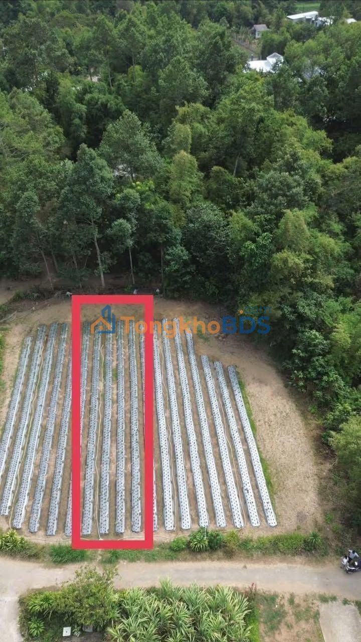 Đất nền Trà Vinh Ngũ Lạc 296m² 69.56 tỷ - Đường to ô tô