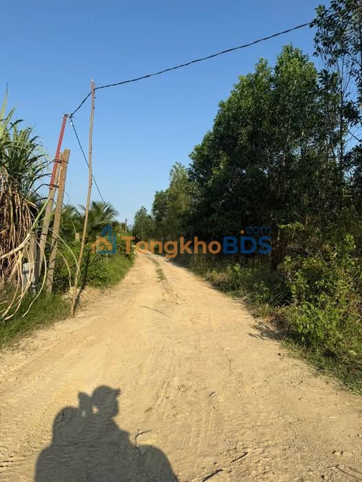 Đất Vườn 1000m² Diên Khánh - Sổ Hồng, Giá 399 Triệu