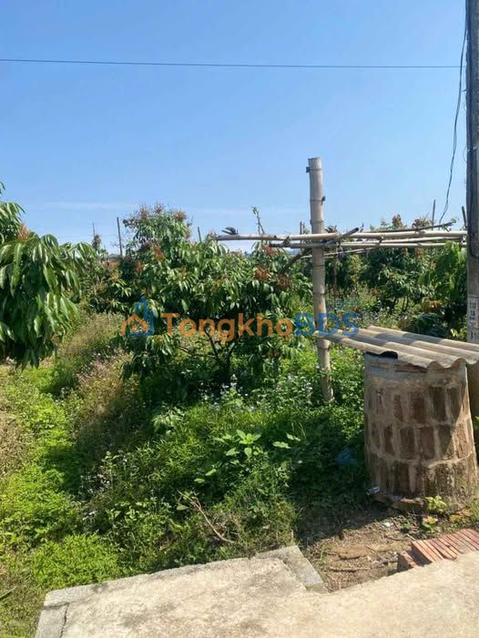 Đất nền Chũ Bắc Giang 131m² 655 triệu - Sổ đỏ chính chủ