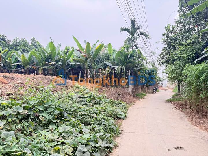 Đất nền River Side Yên Bái 99m² giá 1 tỷ - Đất thổ cư 100%