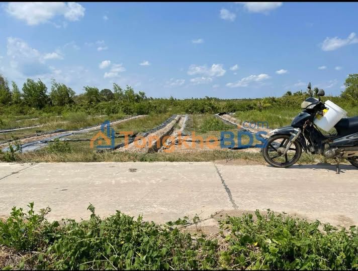 Đất nền Ấp Chánh Lý Văn Lâm 2680m² 2.8 tỷ - Tiềm năng tăng giá