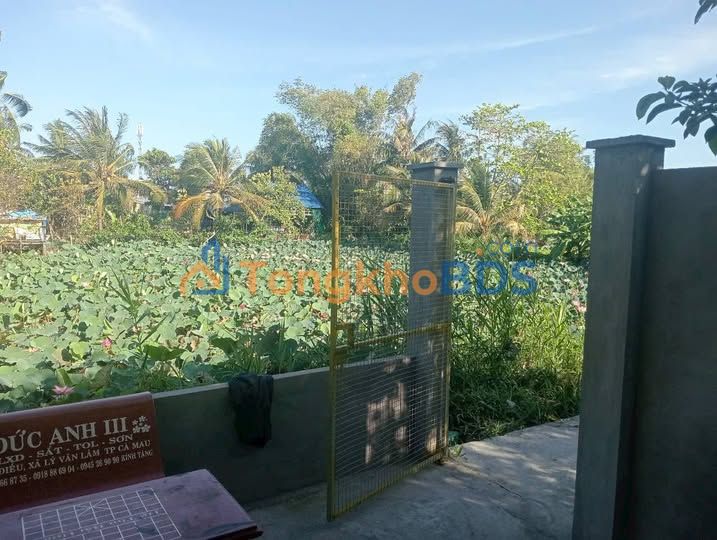 Nhà Khóm 6 Phường 9 Cà Mau 305m² 1,1 tỷ - Sẵn sàng ở ngay