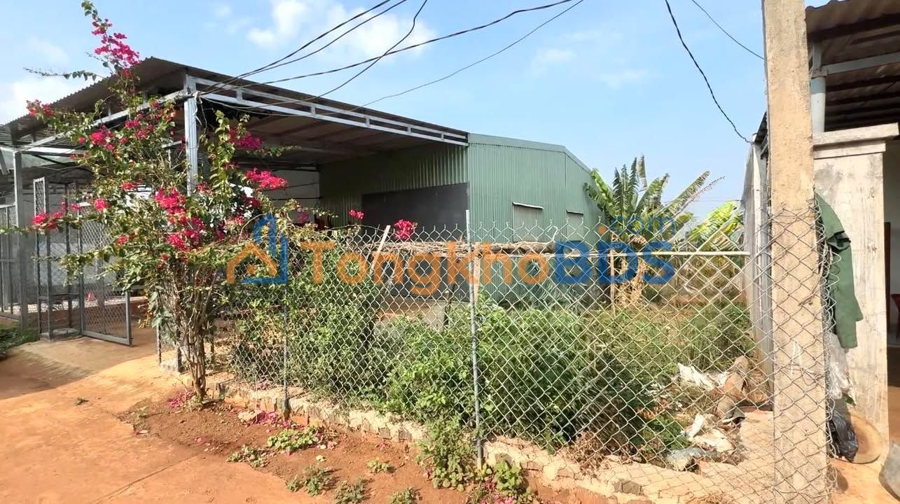 Nhà riêng Thôn Đoàn Kết Chư Sê 900 triệu - Chính chủ bán