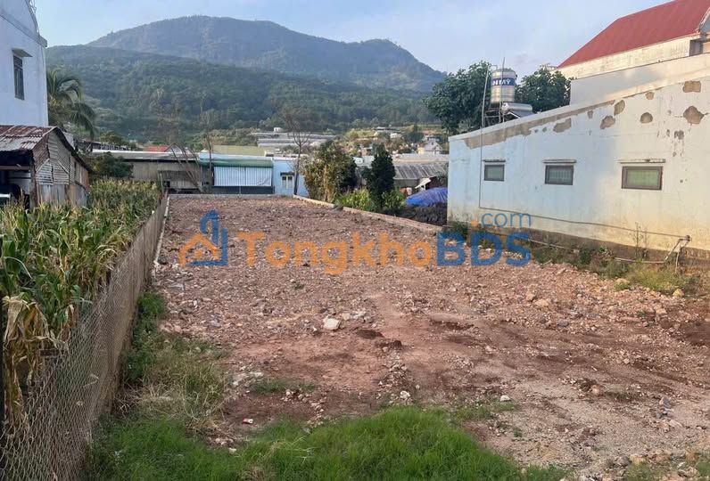 Đất Quốc lộ 20 Phú Nhuận 438m² - Sổ đỏ chính chủ