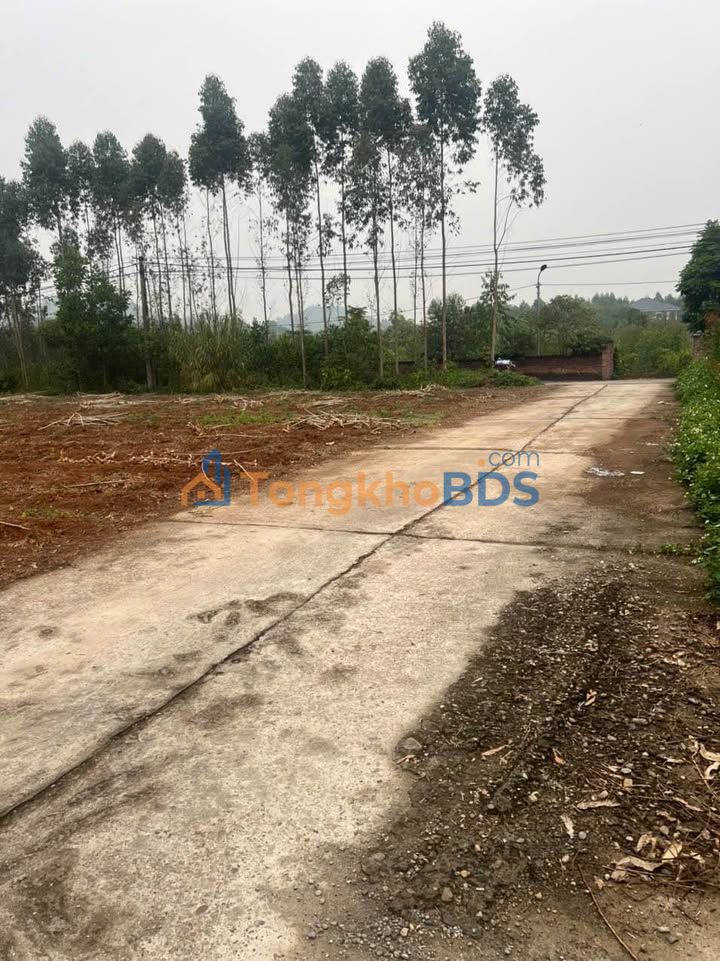 Đất nền Chu Hóa Việt Trì 300m² 3.8 tỷ - Sổ đỏ chính chủ