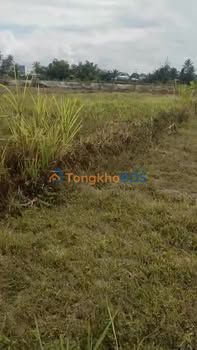 Đất Vườn 1128m² Ninh Thuận - Sẵn Sổ, Bao Sổ - Giá 600 Triệu