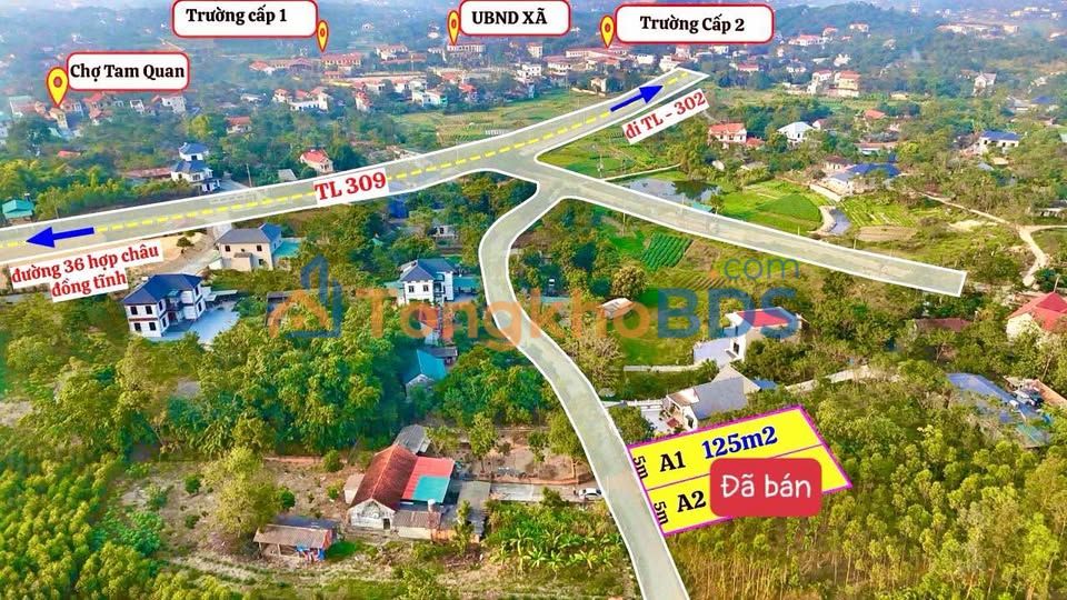 Đất nền Tam Quan Tam Đảo 100m² giá 700-799 triệu - Sổ đỏ chính chủ