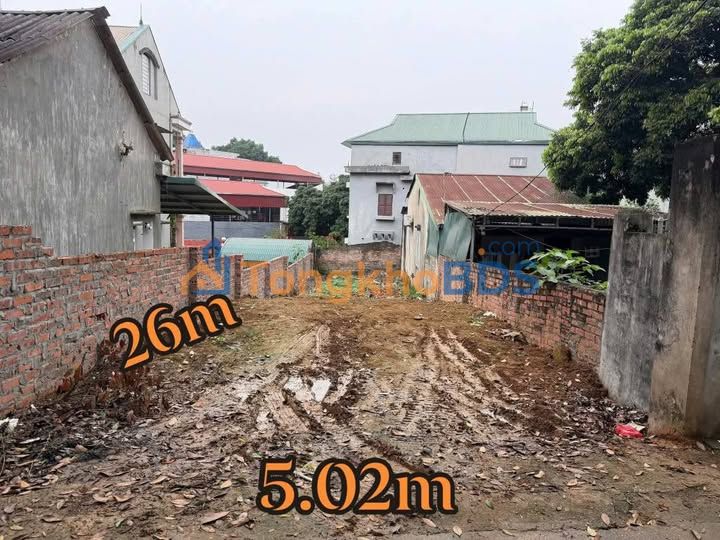 Đất nền Nông Trang 133m² giá 2 tỷ - Sổ đỏ chính chủ