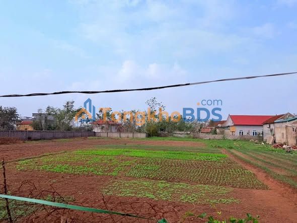 Đất nền Xuân Yên 132m² 1,2 tỷ - Đất thổ cư 100%