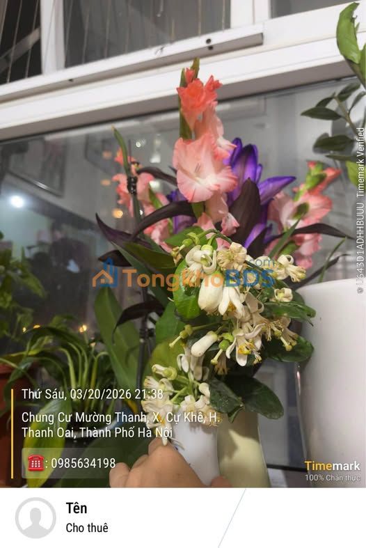 Đất nền Tam Hưng Thanh Oai 72m² 4.32 tỷ - Sổ đỏ chính chủ