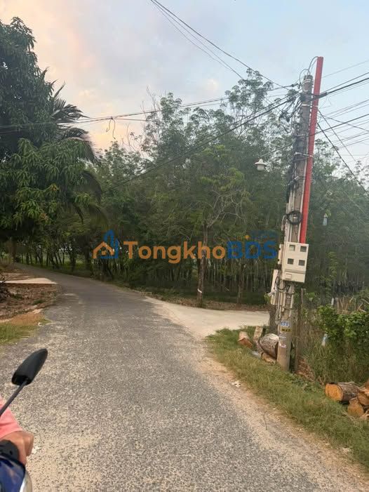 Đất nền Thạnh Tây Tân Biên 340m² 20.4 tỷ - Đường ô tô