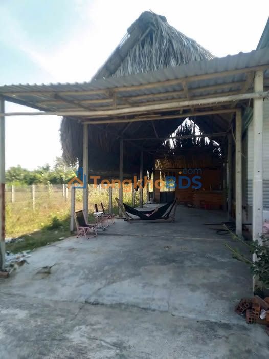 Đất Ấp 3 Bàu Đồn Gò Dầu 240m²/399 triệu - Pháp lý rõ ràng