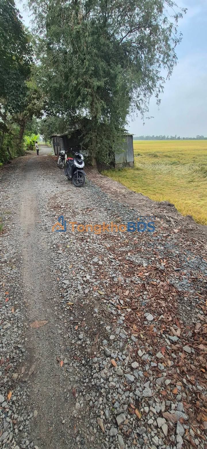 Đất nền Vĩnh Hanh 8 công 1.2 tỷ - Tiềm năng tăng giá