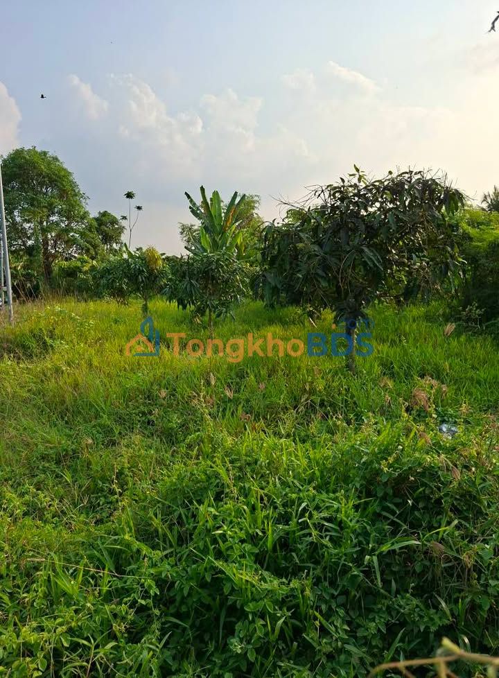 Đất nền Long Điền A, Chợ Mới 53m²/150 triệu - Giá F0 CĐT