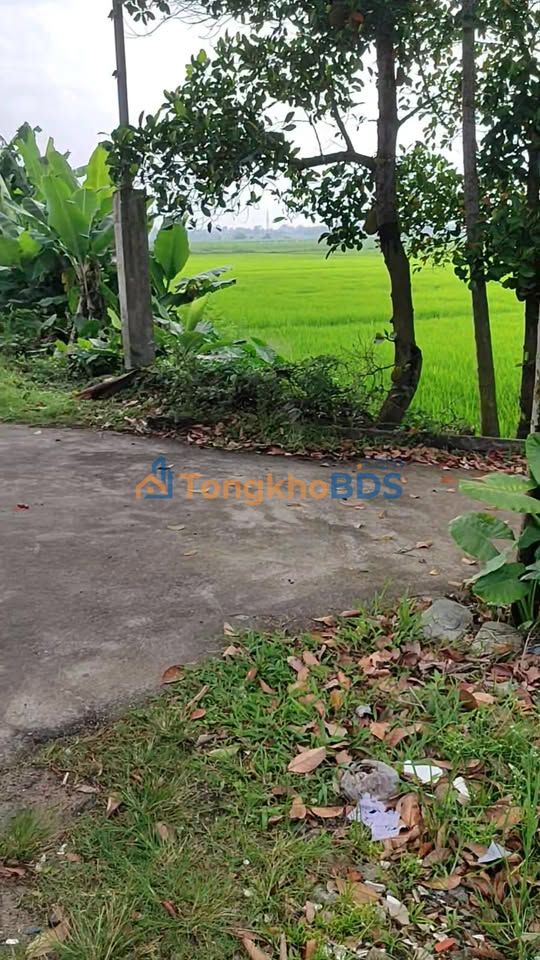 Đất mặt tiền Phạm Như Xương 120m² 2.7 tỷ - Đường to ô tô