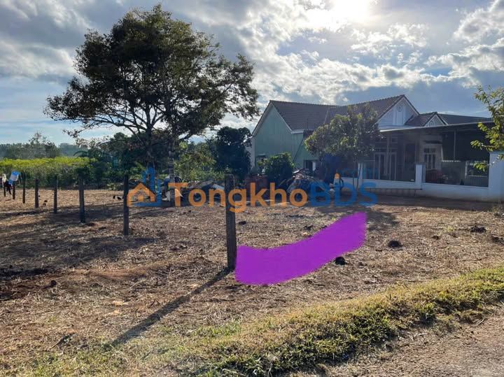 Đất nền Biển Hồ Pleiku 550m² giá 2.8 tỷ - Sổ đỏ chính chủ