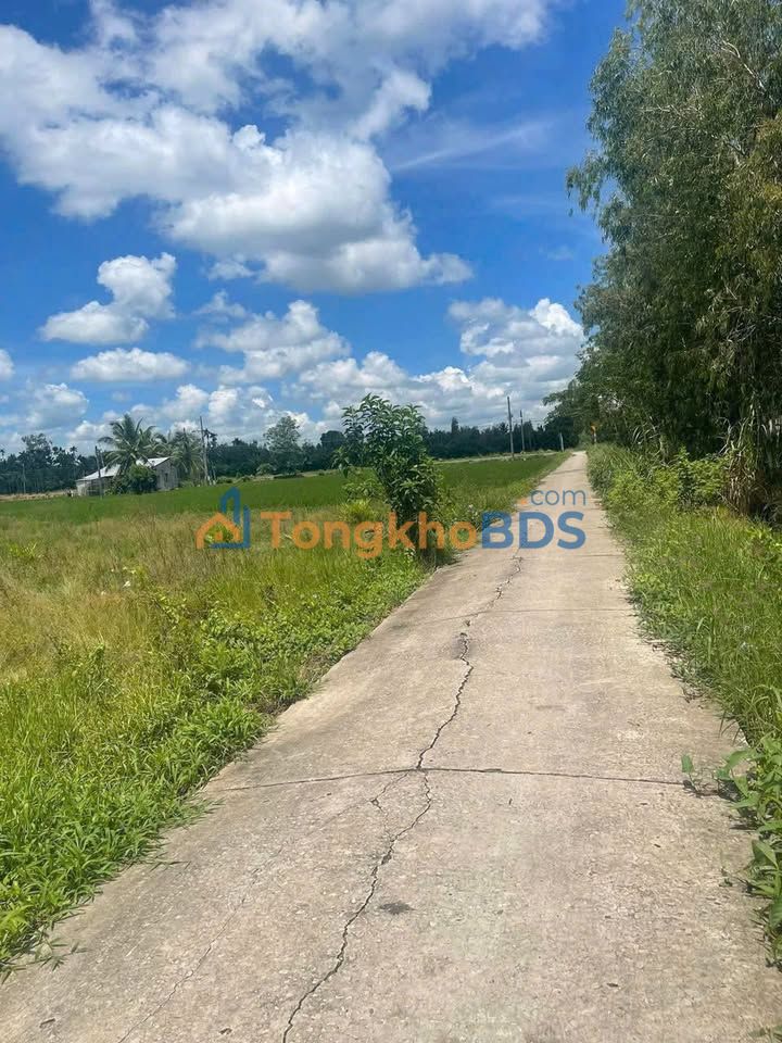 Đất BĐS Kế Sách 266m² 490 triệu - Tiềm năng tăng giá