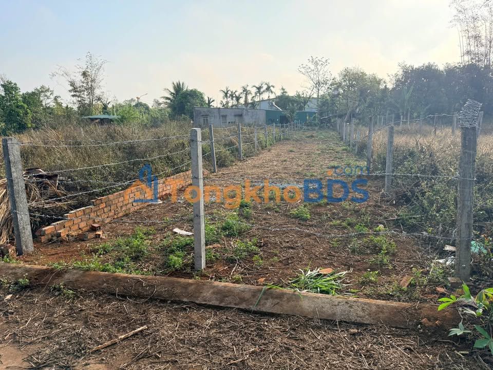 Đất nền Tân An Buôn Ma Thuột 260m² 999 triệu - Tiềm năng tăng giá