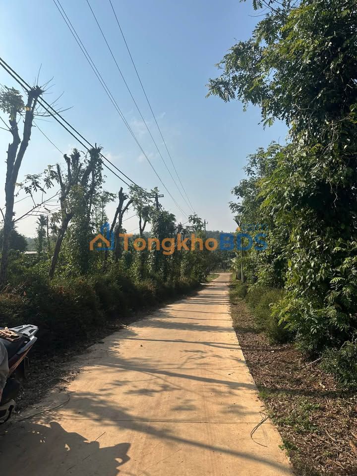 Đất nền Ea Tam 936m² 79,56 tỷ - Thổ cư 120m xây tự do