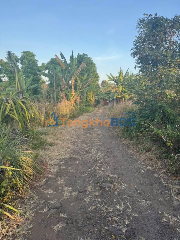 Đất nền Cư ÊBur 2.160m² 7.2 tỷ - Pháp lý rõ ràng