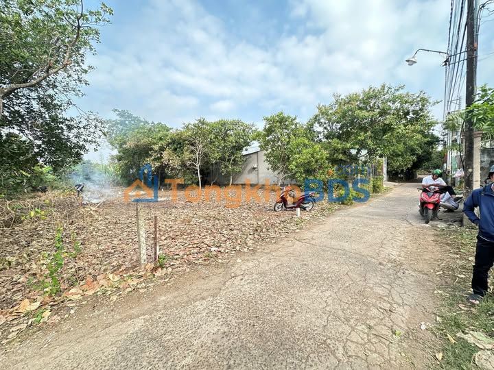 Đất nền Phú Bình Long Khánh 115m² 1,09 tỷ – Pháp lý rõ ràng